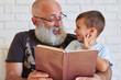 © ArtFamily - Aged man with beard with his grandson reading a book in armchair