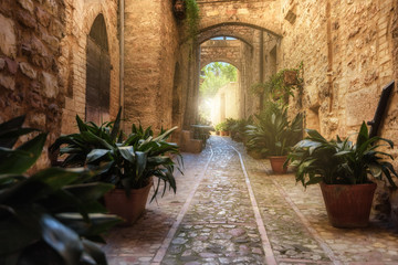  Nooks and streets of the beautiful Italian towns in Umbria.