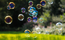 Colored Soap Bubbles Against A Green Background