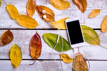 Wall Mural - smart phone, earphones and autumn leaves. white wooden backgroun