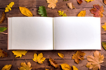 Wall Mural - autumn leaf composition, photo album. studio shot, wooden back