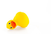 Fallen Ducky