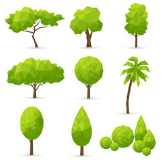 Set of   polygonal trees