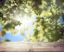 Top Of Wooden Plank Or Terrace With Sunburst Shines Through The Maple Tree Leaves.