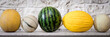 canvas print picture - panorama verschiedener melonen
