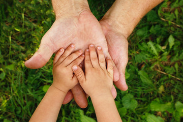 hands grandfather and grandson