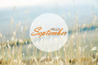 Hello September wallpaper, autumn background with dried plants