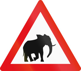 Wall Mural - Road sign used in the African country of Botswana - Elephants