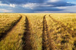 © Maxim Petrichuk - Turn of rural road in the Great Kazakh steppe, Kazakhstan, Central Asia