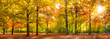 Herbst Wald Panorama im Sonnenschein