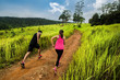 © torwaiphoto - Couples runners Jogging nature Higher up the mountain at speed
