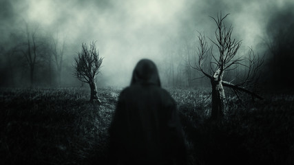 Wall Mural -  Night Horror .  