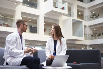 Wall Mural - Two Doctors Having Meeting In Hospital Reception Area