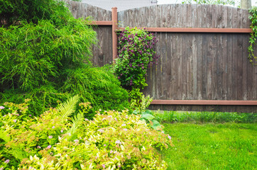Wall Mural - Wooden fence near fresh green lawn