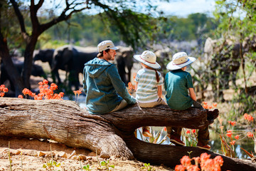 Wall Mural - family safari