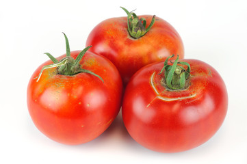 fresh farm picked tomato isolated on white background