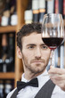 © Tyler Olson - Closeup Of Bartender Examining Red Wine