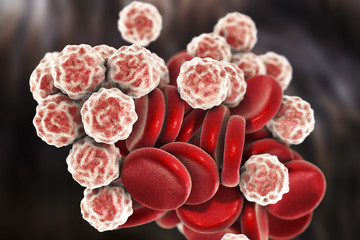 Blood cells: red blood cells (erythrocytes) and white blood cells (leukocytes). 3D illustration