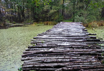  Wooden bridge over lake on a forest, Moscow region, Russia