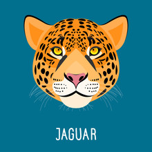 Cartoon Jaguar Portrait Isolated On Blue. Nature, Wild Animal An
