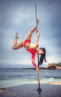 © Andriy Petrenko - Female pole dancer against the sea and sky