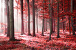 canvas print picture - Red forest abstraction