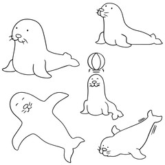 Wall Mural - vector set of sea lion