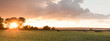 pasture with sheep at sunset, panorama