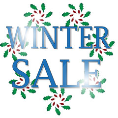 Wall Mural - Winter sale sign, icon, concept