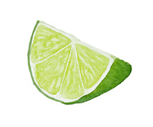 Watercolor Slice Of Lime Isolated On White Background.