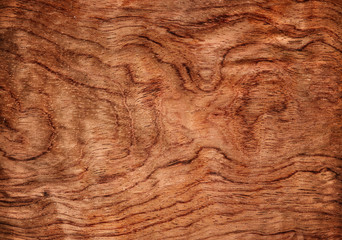 Wall Mural - Wood texture. Wood background.