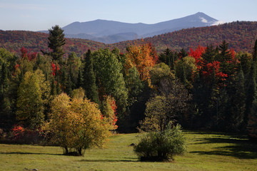 Sticker - The Adirondack Mountains