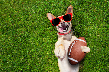 rugby soccer ball