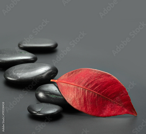 Naklejka dekoracyjna stones with green leaf