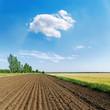 plowed field in spring and white cloud in blue sky
