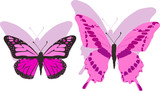 Fototapeta Motyle - two pink butterflies with shadows on white