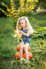 happy emotional girl 4 years old with pumpkins and ears of corn in the garden. child dressed in deni