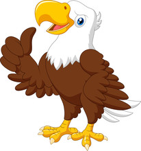 Cartoon Funny Eagle Giving Thumb Up