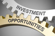 © Coloures-Pic - Investment Opportunities