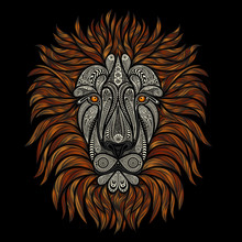 Vector Lion Patterns With A Red Mane On A Black Background