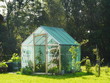 little greenhouse