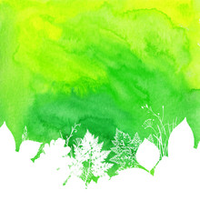 Green Watercolor Background With White Leaves Silhouettes