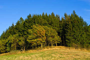 Canvas Print - Autumn in the hills