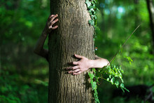 Love For The Nature Hugging A Tree
