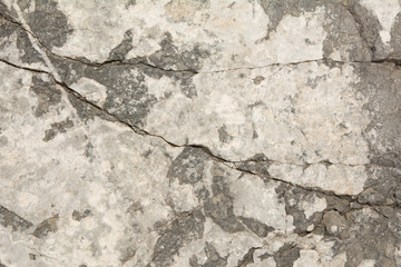 Wall Mural - Stone texture background