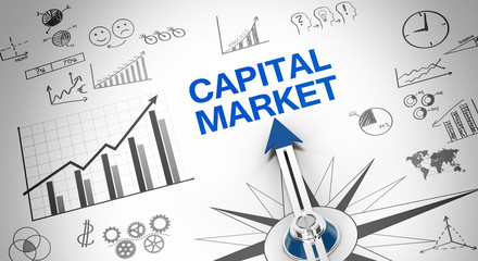 Canvas Print - Capital market