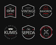 vintage badge illustration design