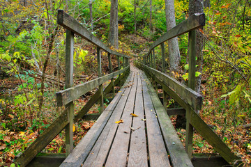 Sticker - Rickety Wooden Foot Bridge