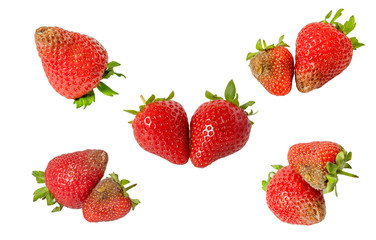 Wall Mural - Rotten strawberries isolated on white background