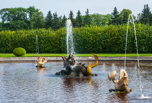 Peterhof Palace St Petersburg, Russia. Golden Fish Statue Fountain In Higher Park. The Peterhof Palace Included In The Unesco'S World Heritage List